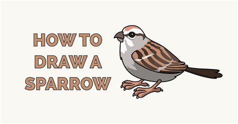 How to Draw a Sparrow - Really Easy Drawing Tutorial