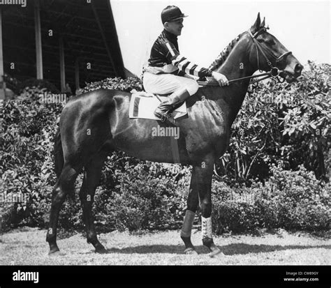 Triple Crown Winner War Admiral, 1937 Stock Photo - Alamy