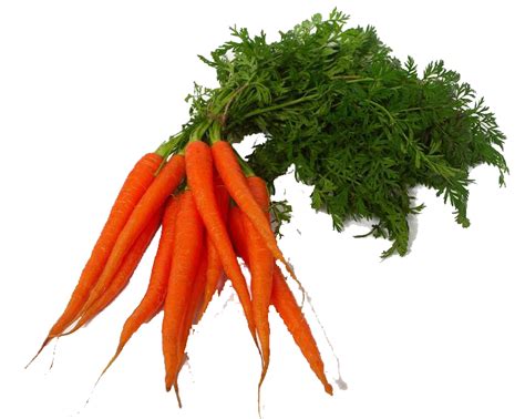 Carrot PNG Transparent Images