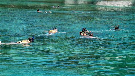 The Ultimate Galapagos Snorkeling Guide