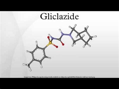 Gliclazide Mechanism Of Action - Glipizide Mechanism Of Action Youtube ...