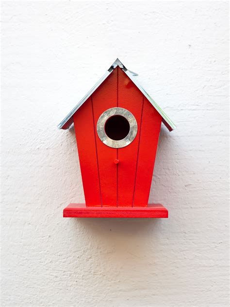 Free Images : wing, wood, red, colorful, plumage, birds, illustration, nest, tit, breed, aviary ...