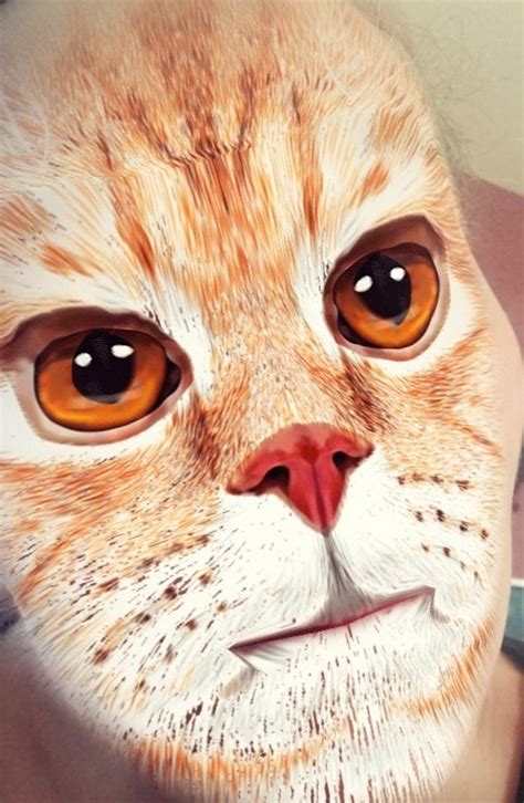 The 7 Best Cat Face Filters On Snapchat To Channel Your Inner Feline