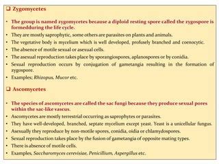 classification of fungi.docx