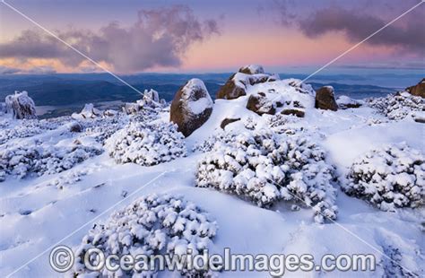 Mount Wellington with snow Photo Image