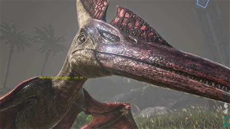 Image - ARK-Pteranodon Screenshot 002.jpg | ARK: Survival Evolved Wiki | FANDOM powered by Wikia