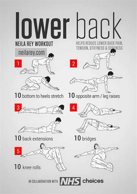 Best Lower Back Stretches – TFE Times