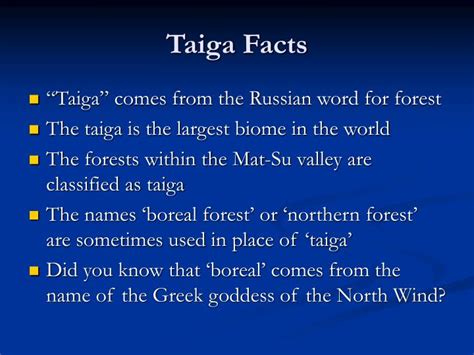 PPT - TAIGA The Boreal Forest PowerPoint Presentation - ID:5533053