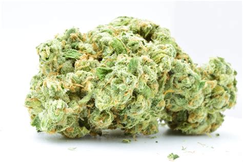 The Complete White Widow Strain Review | Sugarjacks'