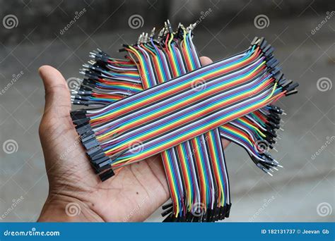 Set of Rainbow Jumper Wires of All Types Held in Hand Stock Image - Image of mainboard ...