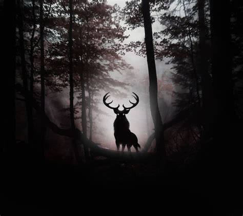 Deer Forest Wallpapers - Wallpaper Cave