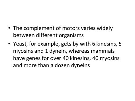 Molecular Motors Molecular motors are amazing biological machines