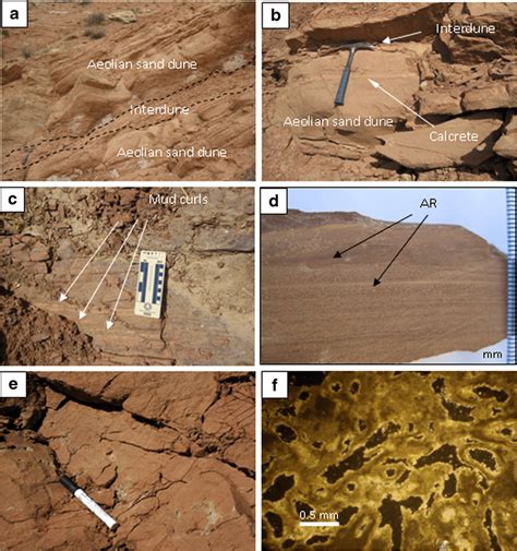 Aeolian ID deposits. a ID mudstone sheet between aeolian sand dunes. b ...