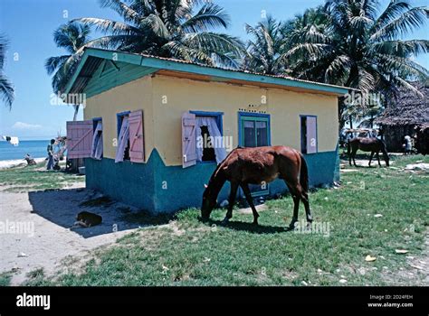 Miskito coast colourful house hi-res stock photography and images - Alamy