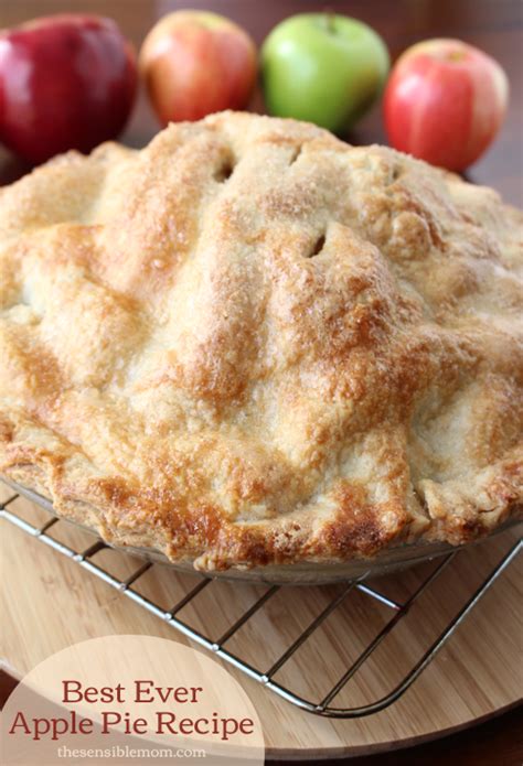 Best Ever Apple Pie Recipe (and recipe for a double pie crust)