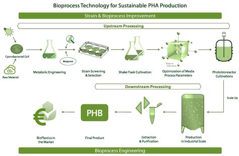 Bioengineering | Free Full-Text | Bioprocess Engineering Aspects of Sustainable ...