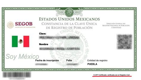 ¿Debes verificar y certificar tu CURP para ser válida?