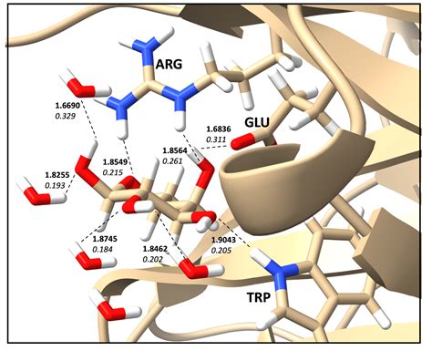 Hydrogen Bond Protein