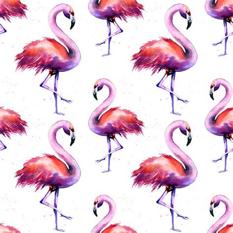 Purple Flamingo Wallpaper – Myindianthings