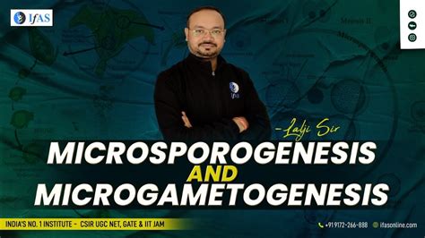 MICROSPOROGENESIS & MICROGAMETOGENESIS - YouTube