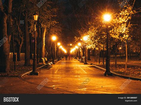 Night City Park. Image & Photo (Free Trial) | Bigstock