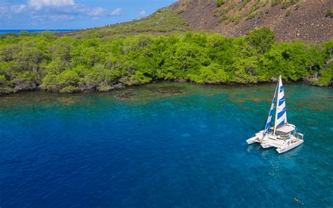 Afternoon Snorkel Tour in Kailua Kona - Sea Paradise