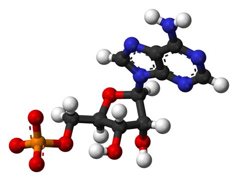 Biomolecules