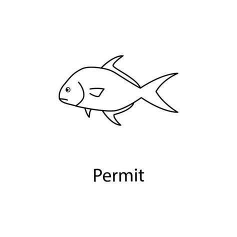 Best Permit Fish Illustrations, Royalty-Free Vector Graphics & Clip Art ...