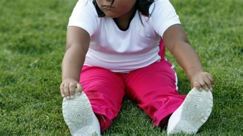 Les enfants de parents obèses à risque d'avoir des problèmes de développement - Acadie Nouvelle
