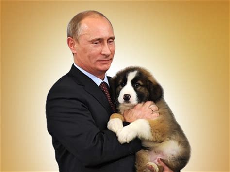 Wanted: name for Putin’s new pet — RT News