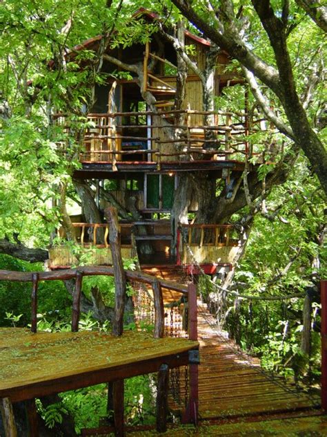 Incredible International Treehouse Hotels : HGTV Gardens | Tree house ...