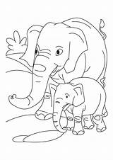 Disegni Da Colorare Elefante sketch template
