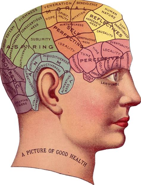 Vintage Brain Advertisement · Free image on Pixabay