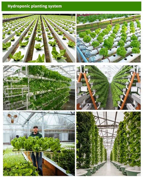 Vertical Farming Systems - Automation and Equipment