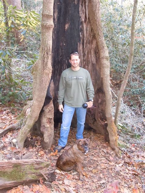 JKB Adventures: Joyce Kilmer Memorial Forest