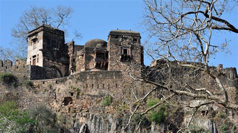 Visit to Ranthambore Fort |UNESCO World Heritage Site| andBeyond