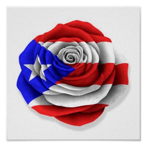 Puerto Rican Rose Flag on White Poster | Zazzle | Puerto rico art ...