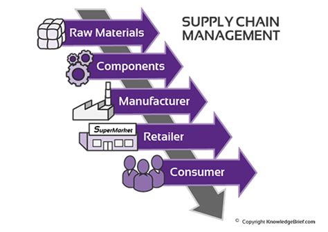 Supply Chain Management - What is it? Definition, Examples and More