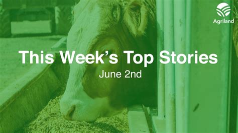 Our top stories this week