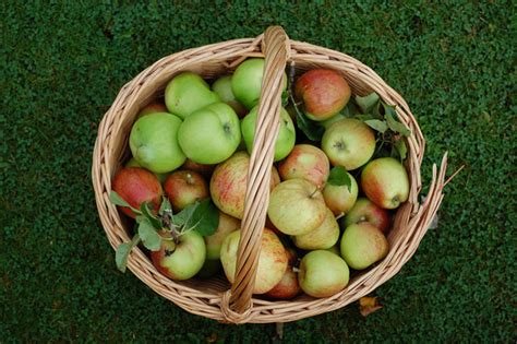 Mabon Recipe: Autumn Soup | HubPages