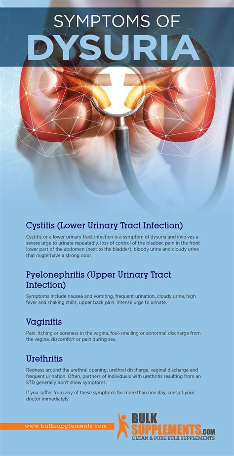 Dysuria symptoms causes treatment – Artofit