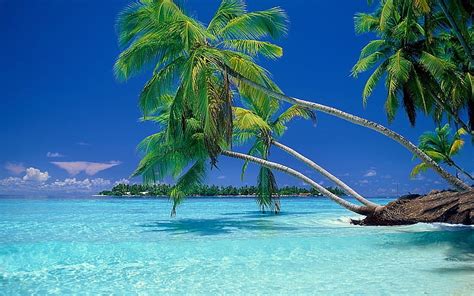 HD wallpaper: shoreline wallpaper, landscape, beach, tropical, Sun, sea, water | Wallpaper Flare