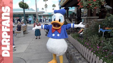 Donald Duck at Disney's Hollywood Studios Walt Disney World 2017 - YouTube