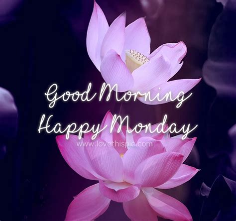 Purple Lotus: Good Morning Happy Monday Pictures, Photos, and Images for Facebook, Tumblr ...