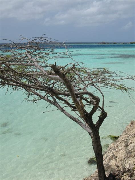 BEST BEACHES FOR SNORKELING IN ARUBA STORY - Sophie's Suitcase