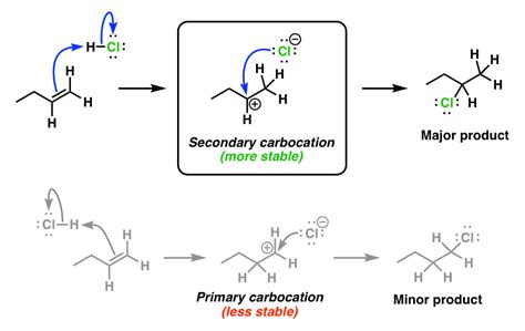 The Alkene Hydrohalogenation Mechanism Explains Markovnikov's Rule