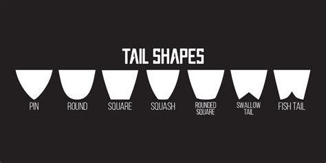 Surfboard tail shapes differ and they are important for riding