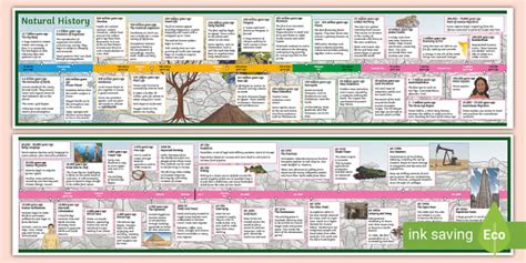 Natural History Earth Timeline Display Poster | Twinkl