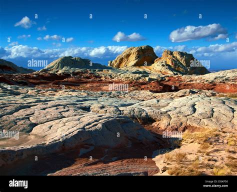 A view of the White Pocket rock formations Stock Photo - Alamy