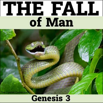 The Themes of Genesis: The Fall of Man Bible Study by The Connett ...